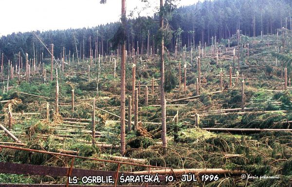Takto to vyzeralo po 8. j&uacute;li 1996 v okol&iacute; Osrblia 