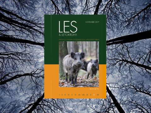 LES & Letokruhy NOVEMBER 2017