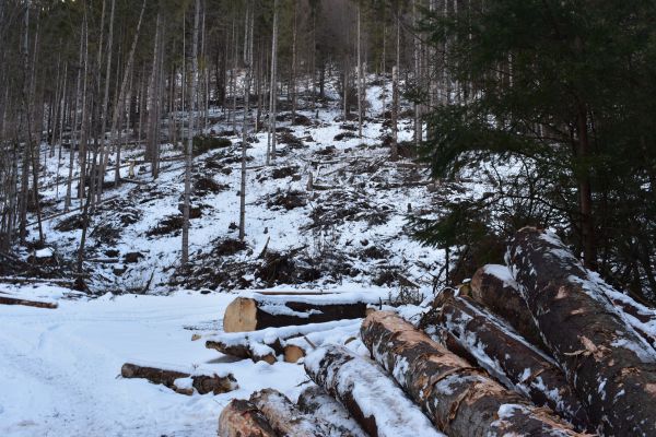 Ilustračn&eacute; foto Jozef Marko