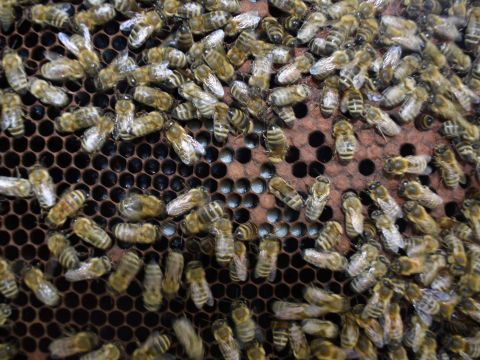 Ilustračné foto: Jozef Marko 