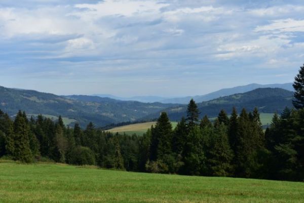 Ilustračn&eacute; foto Jozef Marko