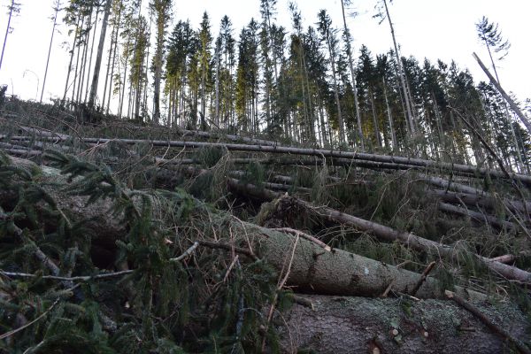 Kalamita, ktor&uacute; sp&ocirc;sobila vetern&aacute; smr&scaron;ť 
