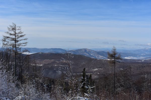 Ilustračné foto Jozef Marko