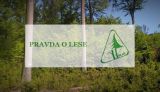 PRAVDA O LESE - SLsK vytvorila nov&uacute; možnosť komunik&aacute;cie na t&uacute;to t&eacute;mu