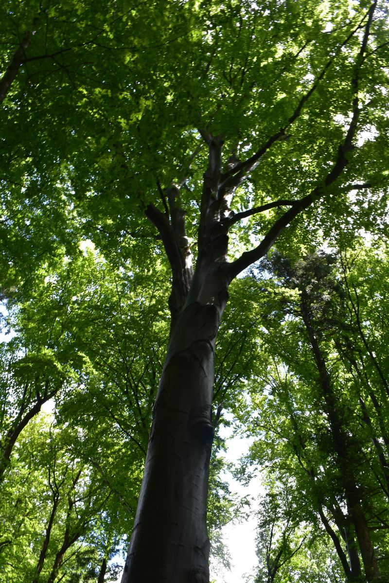 Ilustračné foto Jozef Marko