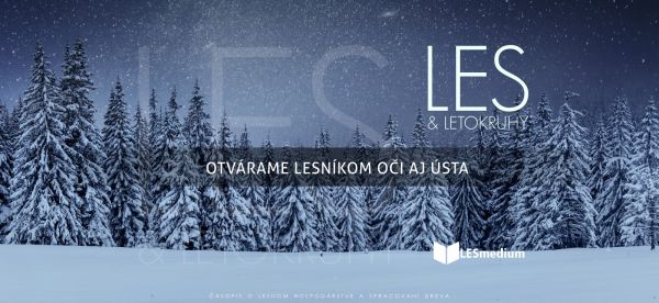 &Scaron;ťastn&eacute; a vesel&eacute; vianočn&eacute; a novoročn&eacute; sviatky: A lep&scaron;&iacute; lesn&iacute;cky rok 2023