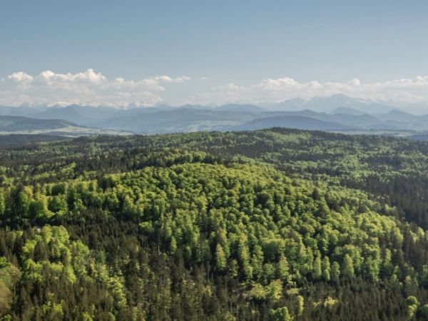 Zdroj: FB stránka Rakúskych spolkových lesov 