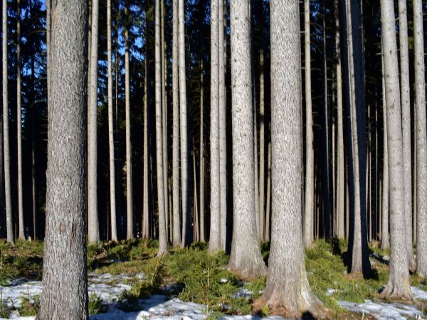 Ilustračné foto: Jozef Marko 