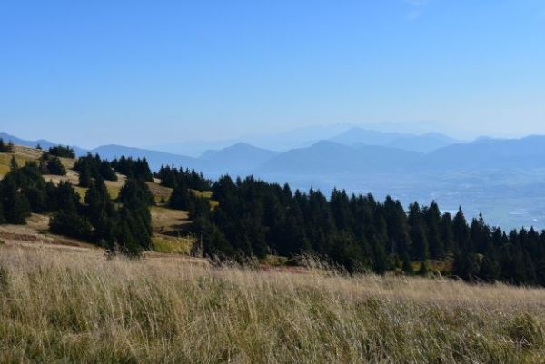 Ilustračn&eacute; foto Jozef Marko