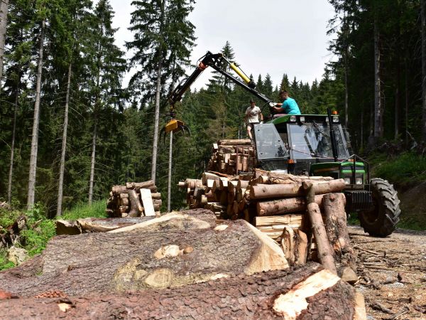 Ilustračn&eacute; foto: Jozef Marko 