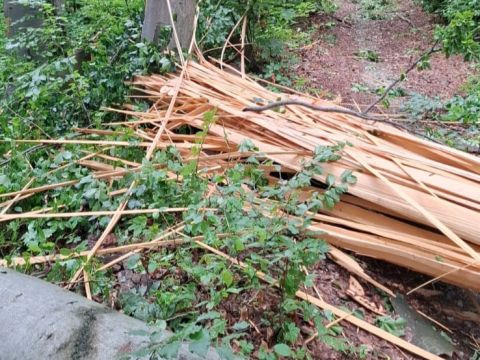 Zdroj: FB stránka Mestské lesy Košice, a.s. 