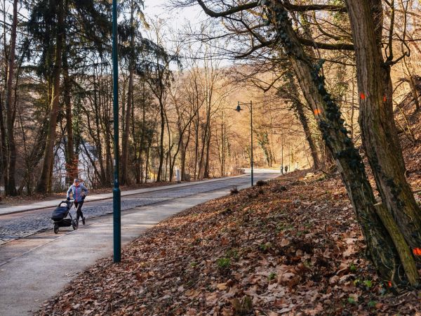 Zdroj: FB stránka Mestské lesy v Bratislave 