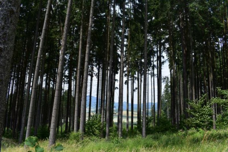 Ilustračné foto Jozef Marko