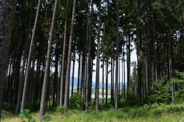 Ilustračné foto Jozef Marko