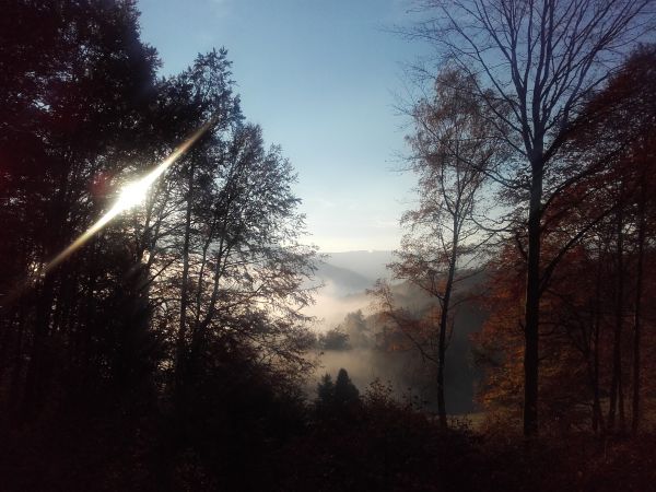 Svit&aacute; na lep&scaron;ie časy medzi lesn&iacute;kmi a ochran&aacute;rmi?