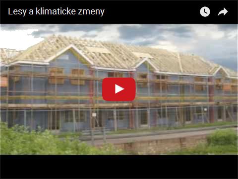 Lesy a klimaticke zmeny