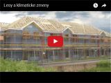Lesy a klimaticke zmeny