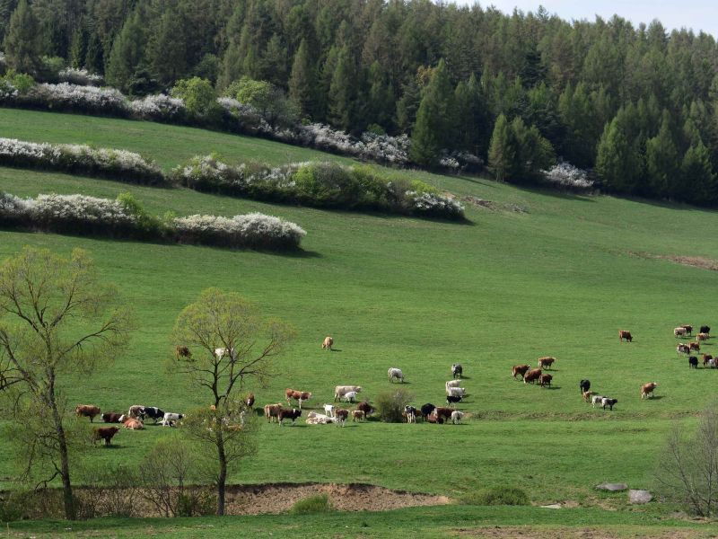 Ilustračné foto: Jozef Marko 