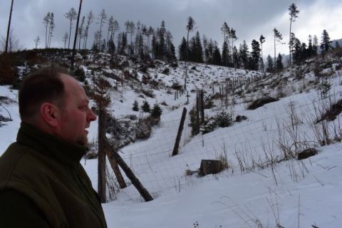 Ing. František Pisarčík z Lesov mesta Spišská Belá a postavené oplôtky na ochranu mladých lesných kultúr pred zverou 