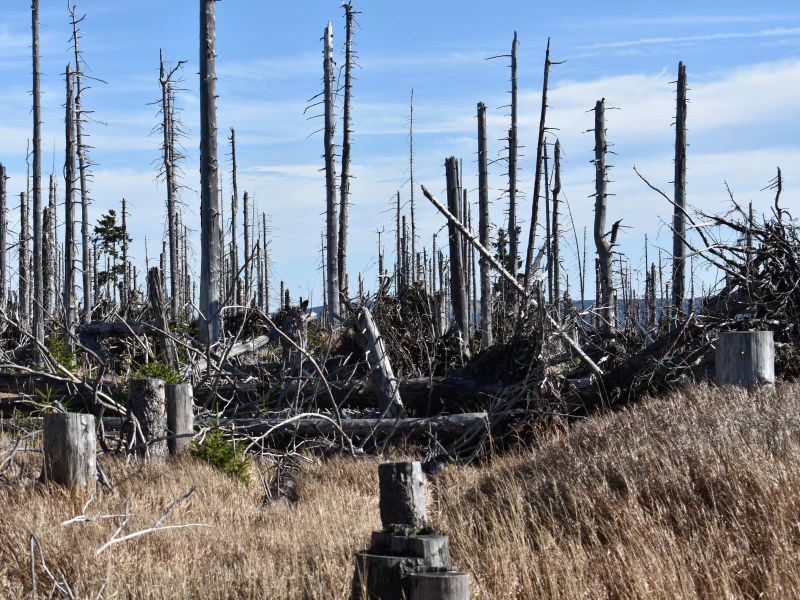 Ilustračné foto: Jozef Marko 