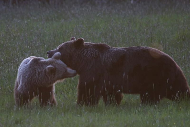 Ilustračné foto: FB profil Pavla Lenka 
