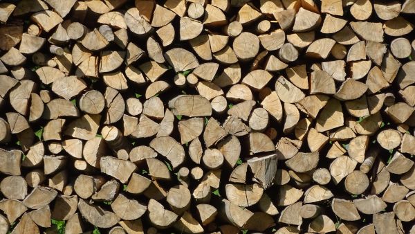 Ilustračn&eacute; foto: FB str&aacute;nka LESY SR 