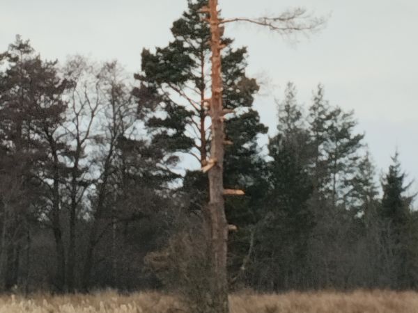 Ilustračné foto: Ing. František Pisarčík