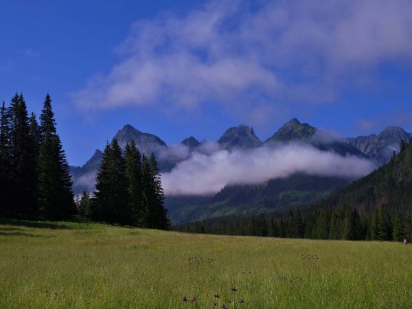 Tatranský národný park 