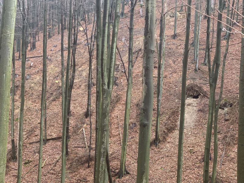 Medvedí brloh v Ostrej doline 