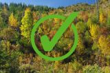 Vlastníci lesov chcú zdravý a zelený les, ktorý zabezpečí jeho trvalo udržateľné obhospodarovanie 