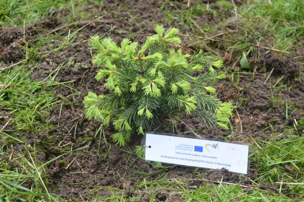 Ilustračn&eacute; foto: LESY SR 