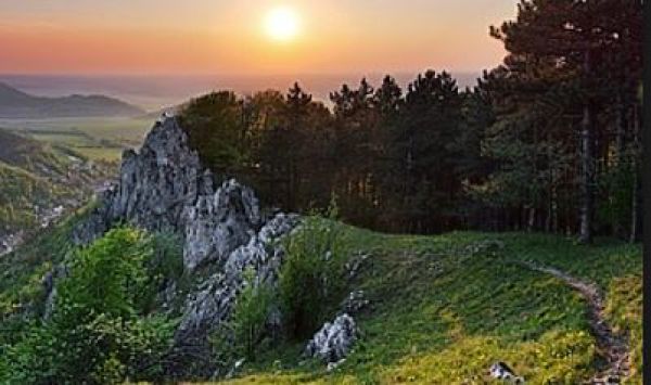 Ilustračn&eacute; foto