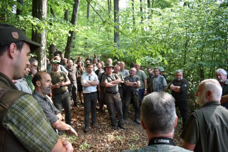 Lesníci diskutujú počas odborného seminára v poraste o najvhodnejších obnovných postupoch 