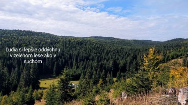 Posolstvo lesn&iacute;kov z Mur&aacute;nskej planiny