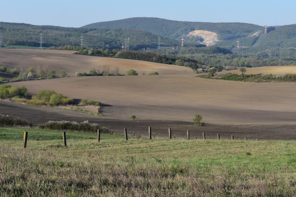 Použ&iacute;vanie dus&iacute;kat&yacute;ch hnoj&iacute;v v poľnohospod&aacute;rstve treba zn&iacute;žiť