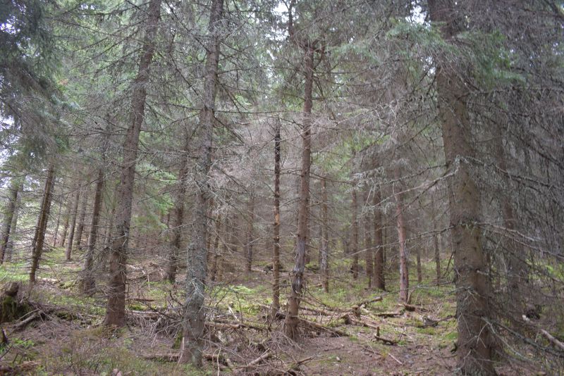 Ilustračné foto Jozef Marko