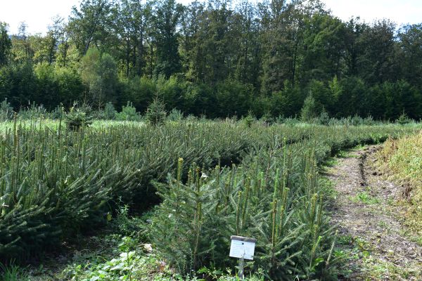 Ilustračn&eacute; foto Jozef Marko