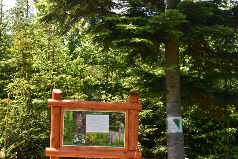 Záber z Lesov mesta Podolínec, kde pôsobí Ing. Pavel Homola 