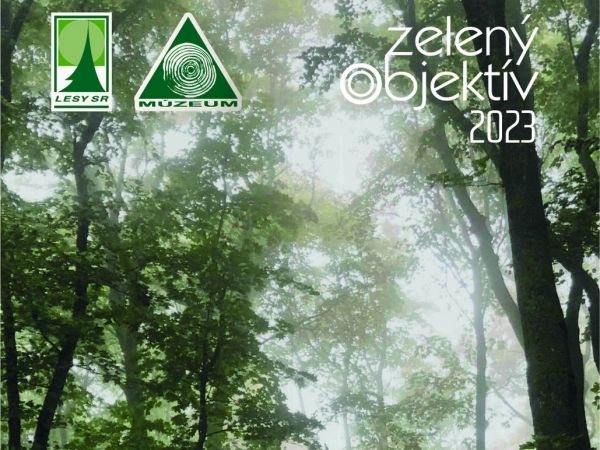 Zdroj: FB stránka LaDM Zvolen 