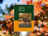LES &amp; Letokruhy OKTÓBER 2017