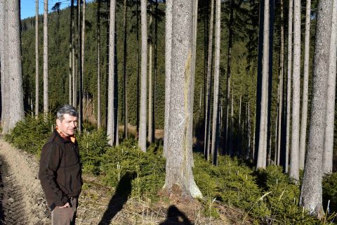 Róbert Gombárik v odborne obhospodarovaných lesoch na Makove 