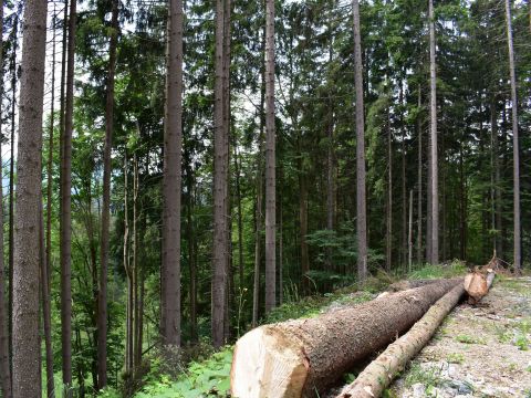 Ilustračné foto: Jozef Marko 