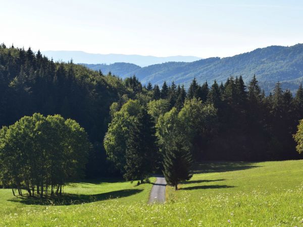 Ilustračné foto: Jozef Marko 