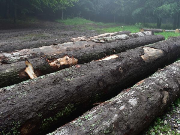 Ilustračné foto: Jozef Marko 