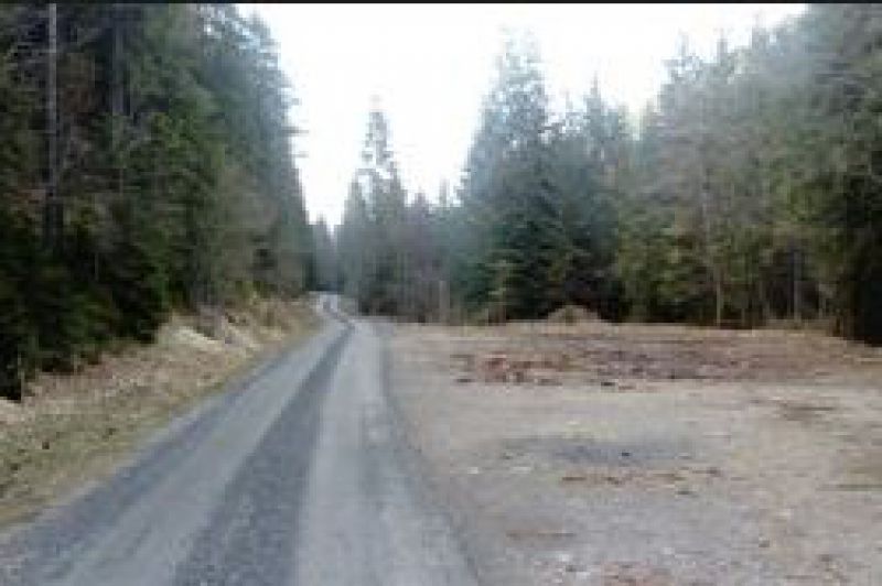 Obmedzenie pre spracovanie kalamity