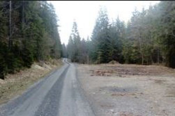 Obmedzenie pre spracovanie kalamity