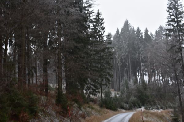 Ilustračn&eacute; foto Jozef Marko