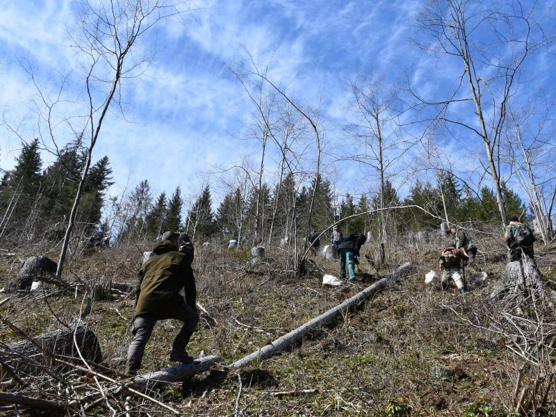 Zdroj: Internetová stránka LESY SR 