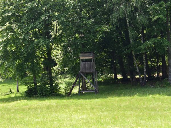 Ilustračné foto: Jozef Marko 