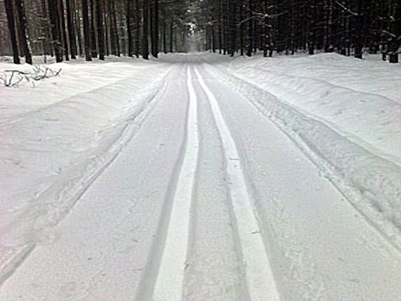 Lesníci vyšli v ústrety bežkárom